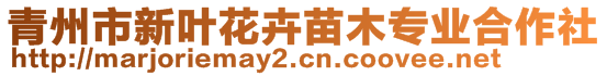 青州市新叶花卉苗木专业合作社