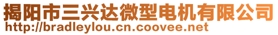 揭陽市三興達微型電機有限公司