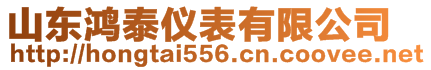 山東鴻泰儀表有限公司
