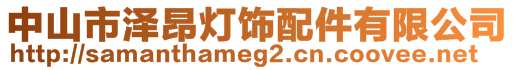 中山市澤昂燈飾配件有限公司