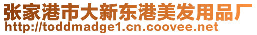 張家港市大新東港美發(fā)用品廠