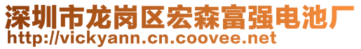 深圳市龙岗区宏森富强电池厂