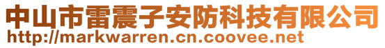 中山市雷震子安防科技有限公司