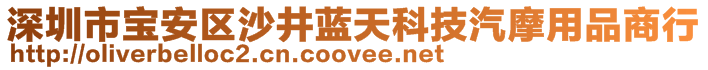深圳市寶安區沙井藍天科技汽摩用品商行