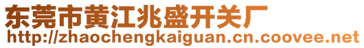 東莞市黃江兆盛開(kāi)關(guān)廠