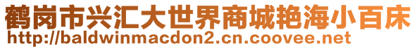 鶴崗市興匯大世界商城艷海小百床