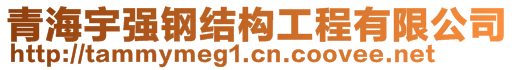 青海宇強(qiáng)鋼結(jié)構(gòu)工程有限公司