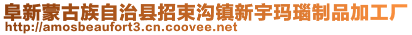 阜新蒙古族自治縣招束溝鎮(zhèn)新宇瑪瑙制品加工廠