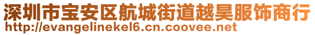 深圳市寶安區(qū)航城街道越昊服飾商行