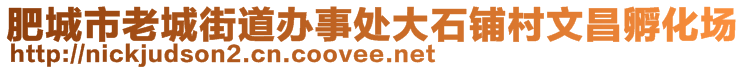 肥城市老城街道办事处大石铺村文昌孵化场