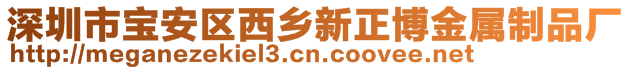 深圳市寶安區(qū)西鄉(xiāng)新正博金屬制品廠