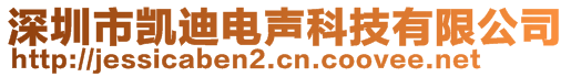 深圳市凱迪電聲科技有限公司