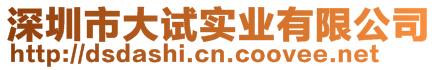 深圳市大試實業有限公司
