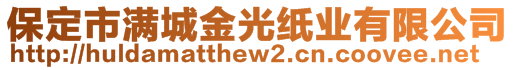 保定市滿城金光紙業(yè)有限公司