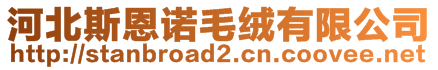 河北斯恩諾毛絨有限公司