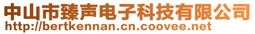 中山市臻聲電子科技有限公司