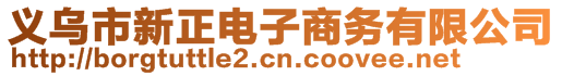 義烏市新正電子商務(wù)有限公司