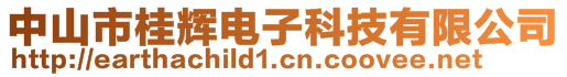 中山市桂輝電子科技有限公司