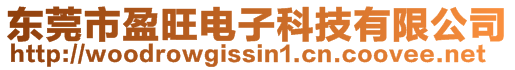 東莞市盈旺電子科技有限公司