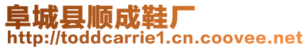 阜城縣順成鞋廠