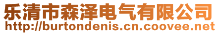 樂清市森澤電氣有限公司