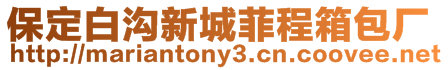 保定白溝新城菲程箱包廠