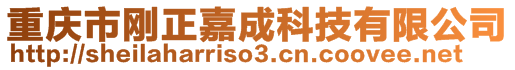 重慶市剛正嘉成科技有限公司