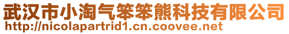 武漢市小淘氣笨笨熊科技有限公司