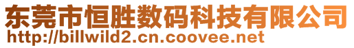 东莞市恒胜数码科技有限公司