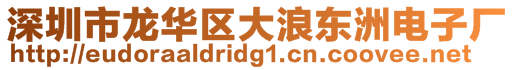 深圳市龍華區大浪東洲電子廠