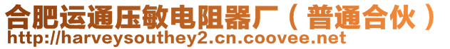 合肥運通壓敏電阻器廠(普通合伙)