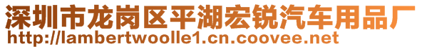 深圳市龙岗区平湖宏锐汽车用品厂