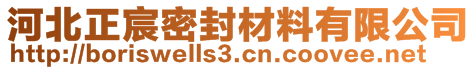 河北正宸密封材料有限公司