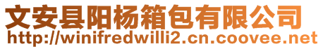 文安縣陽楊箱包有限公司