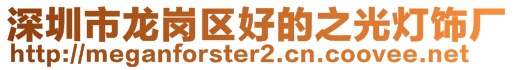 深圳市龙岗区好的之光灯饰厂