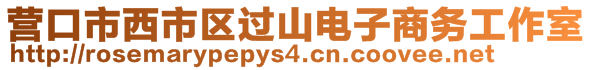 營口市西市區(qū)過山電子商務(wù)工作室