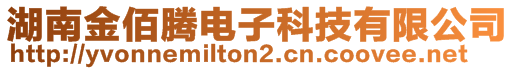 湖南金佰騰電子科技有限公司