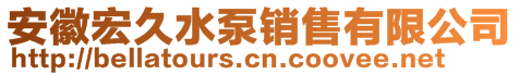 安徽宏久水泵銷售有限公司