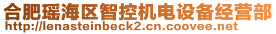 合肥瑤海區(qū)智控機(jī)電設(shè)備經(jīng)營(yíng)部