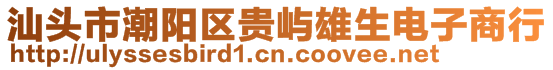 汕头市潮阳区贵屿雄生电子商行