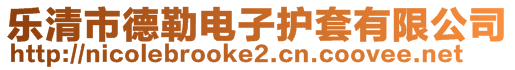 樂清市德勒電子護(hù)套有限公司