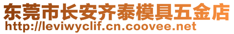 東莞市長安齊泰模具五金店