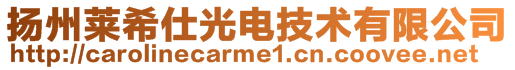 揚州萊希仕光電技術有限公司