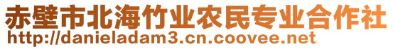 赤壁市北海竹業(yè)農(nóng)民專業(yè)合作社