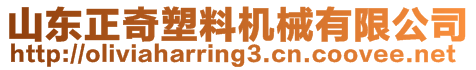 山東正奇塑料機(jī)械有限公司