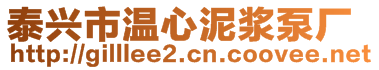 泰興市溫心泥漿泵廠