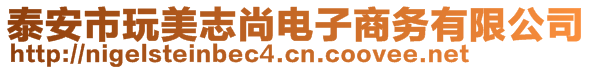 泰安市玩美志尚電子商務(wù)有限公司