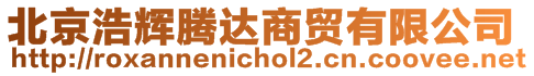 北京浩輝騰達商貿(mào)有限公司