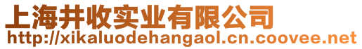 上海井收實業有限公司