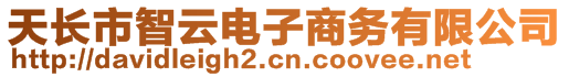 天長市智云電子商務有限公司